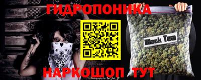 СК Волжск